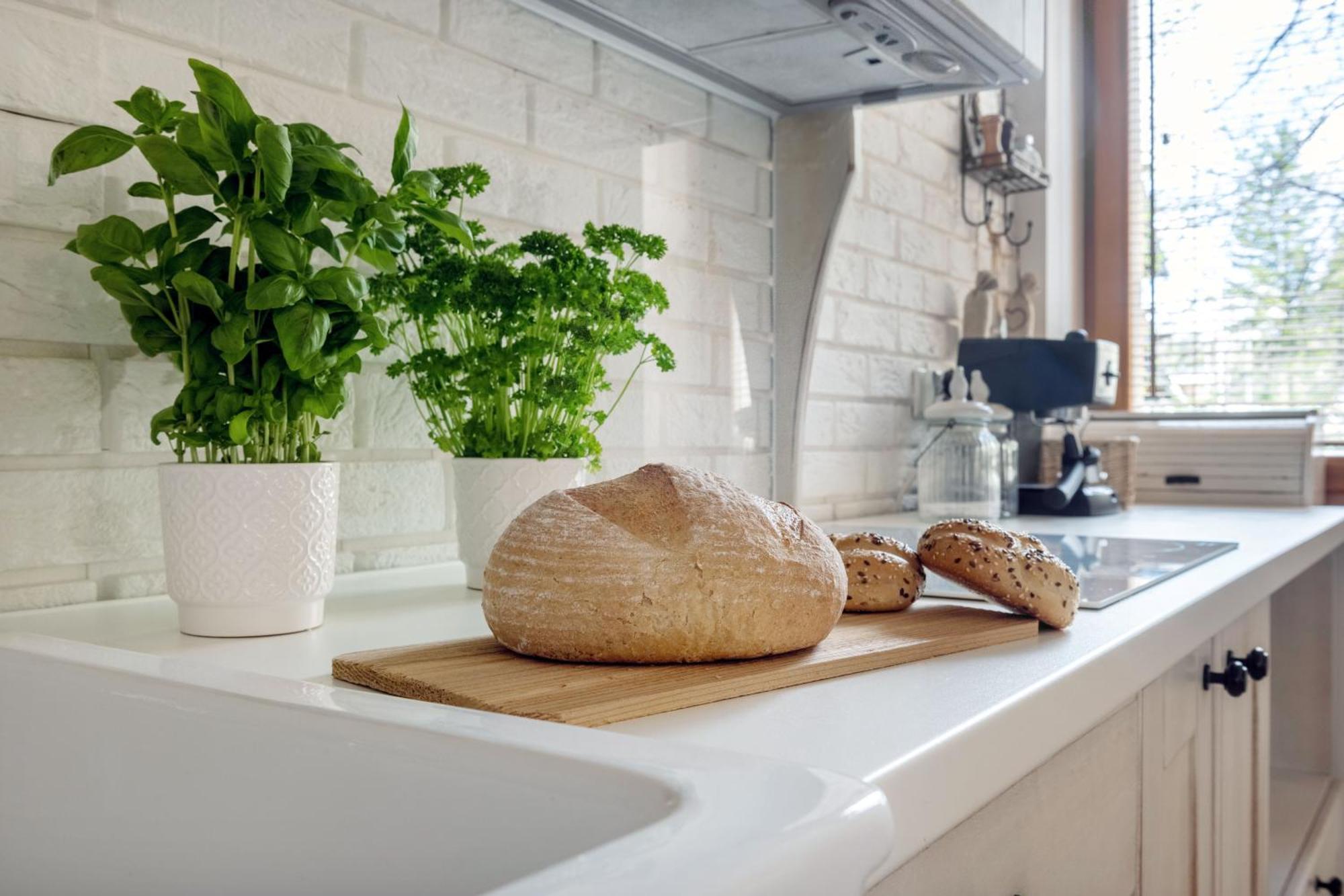 Apartament Pod Orlem Zakopane Dış mekan fotoğraf